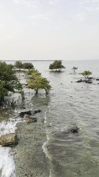 Al Khor, Qatar - September 11, 2026: Al Khor beach Purple island view Thakira, Qatar