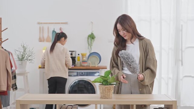 Laundry room woman home cleaning appliance interior casual plant table window, woman indoor home cleaning plant table appliance basket smiling laundry room, laundry room with woman cleaning table