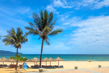 Fototapeta premium My Khe beach in Da Nang with tall coconut palms, thatched umbrellas, sun loungers, and turquoise sea under blue sky