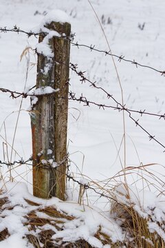 Close-up of a weathered wooden fence post wrapped in rusted barbed wire, blanketed by fresh white winter snow against a blurred cold rural field backdrop