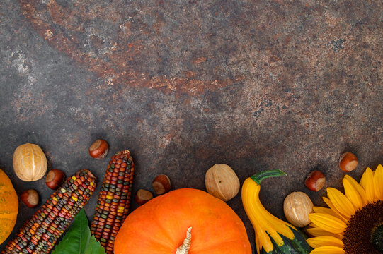 Fall flat lay with pumpkins, sunflowers, and nuts on a rusty metal background