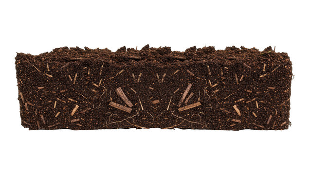 Rectangular compressed peat moss block with visible organic fibers, isolated on transparent background