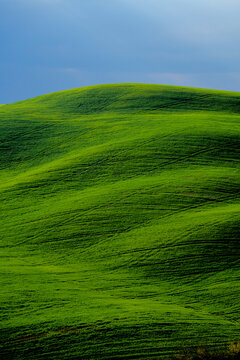 View of rolling green hills in the countryside under a blue sky in Tuscany, Italy.
