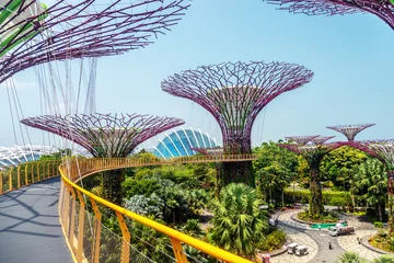 Supertree Grove and kyway at Gardens by the Bay rising above lush tropical greenery in Singapore © Nikolay N. Antonov