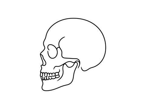 Outline of a human skull side view simple icon