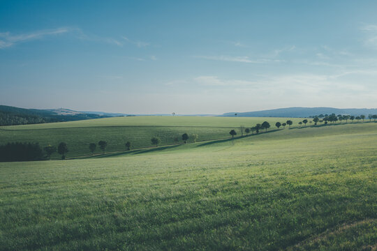 green field and blue sky