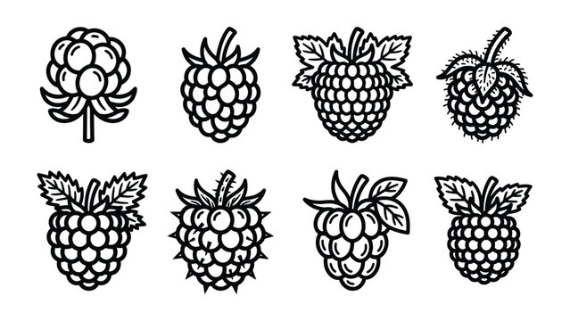 Various Berry Icons: A collection of stylized black and white line art icons depicting different types of berries, including raspberries and cloudberries.