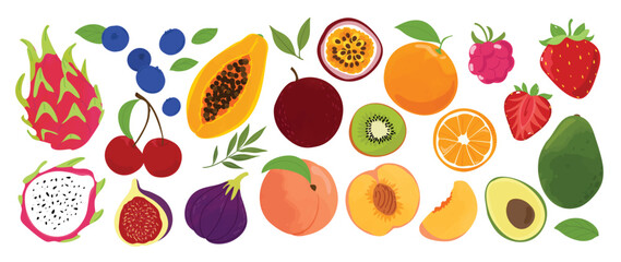 Obraz na płótnie Canvas Tropical fruit illustration collection. Vector dragon fruit, blueberry, papaya, passion fruit, fig, orange, strawberry, cherry, kiwi, peach, mango and avocado for food design.