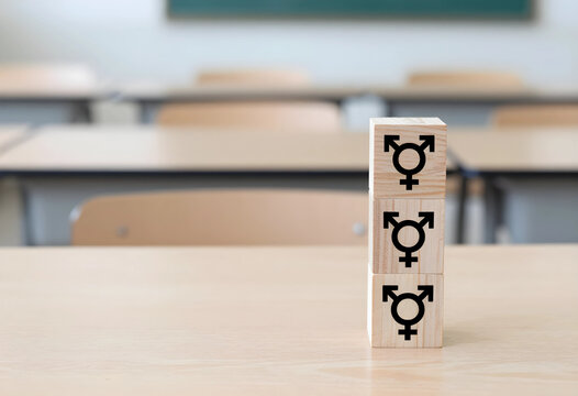Transgender rights and gender identity in education, wooden blocks with equality symbols on a classroom desk for inclusive school environment and diversity