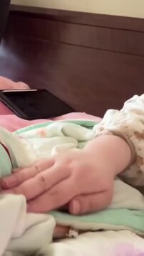 Cute Lovebird Interacting with Human Hand