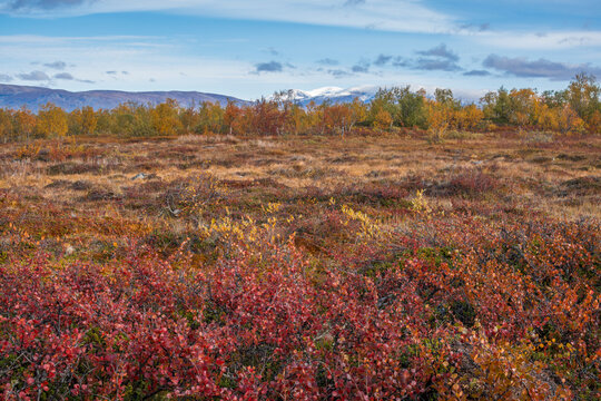Autumn view over Landscape in Abisko