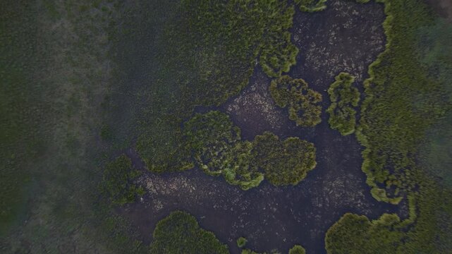 Aerial view of marshy wetlands near Song Kol, Kyrgyzstan.