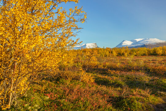 Abisko national park in september