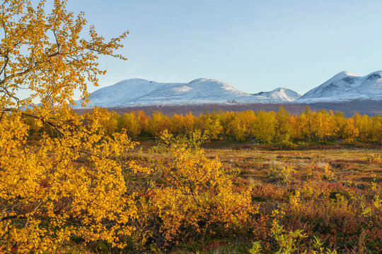 Autumn view over Landscape in Abisko