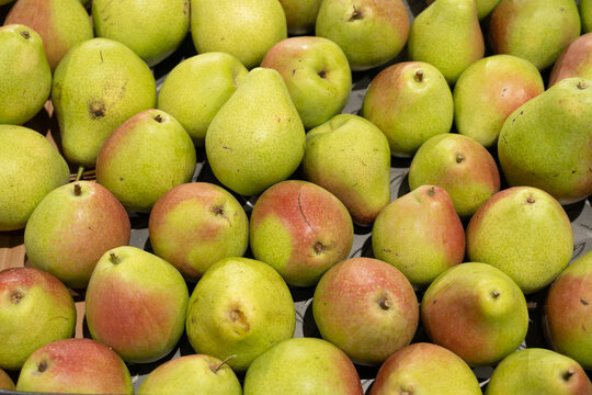 pile of ripe green and red pears stacked together