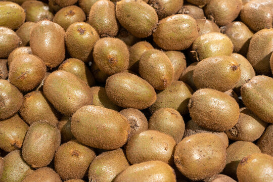 Fresh Kiwis Piled in Produce Display