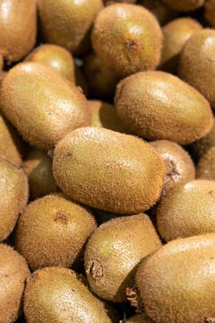 Fresh Kiwis Piled in Produce Display