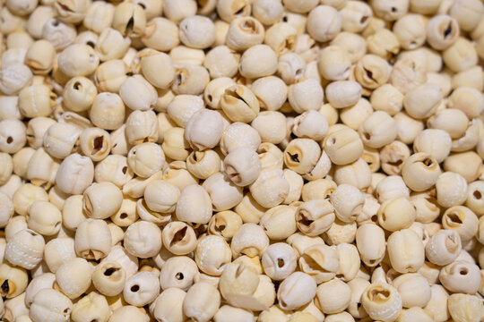 Heap of Dried Lotus Seeds