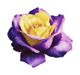 Obraz premium PNG Vibrant halftone rose illustration.
