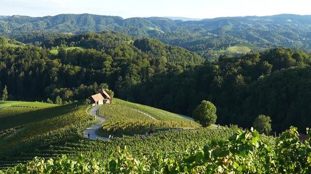 Herzerlstrasse in Spicnik Slovenia Heart Shaped Wine Road