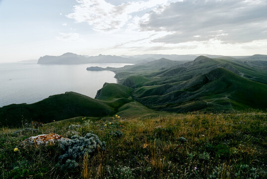 Expansive coastal landscape with rolling green hills, wildflowers in the foreground and calm sea meeting distant cliffs under a moody sky, conveying serenity, remoteness and open-air freedom.