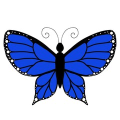 Beautiful blue butterfly vector illustration isolated on white background, cute morpho butterfly clip art element for summer and spring nature design  © Isna