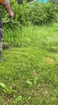 Person trims tall green grass with a string trimmer in a backyard