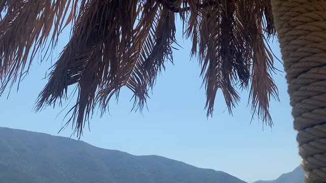 Dried palm leaves on a thatched beach umbrella sway gently against a clear blue sky