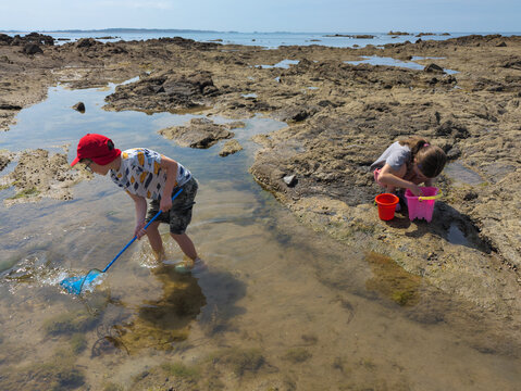 Two young children playing outdoors at a seaside rock pool with fishing net on the coast of Galicia, Spain