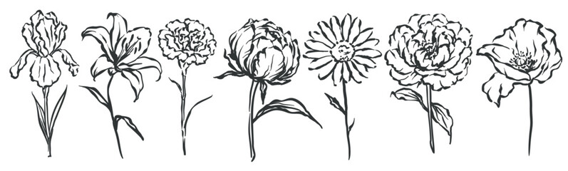 Obraz premium Flower set with iris, lily, carnation, peony, daisy and poppy drawn in expressive black ink lines. Cards, branding and print use this flower set in hand drawn sketch style, vector illustration.