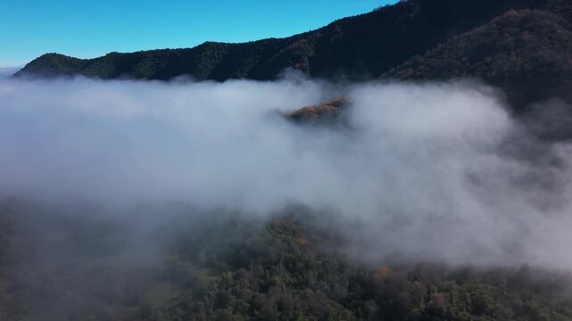 Panoramic sweeping view of a thick rolling sea of fog engulfing a forested mountain valley with dark silhouetted ridgelines and hints of orange autumn color