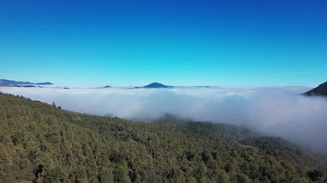 Forward flight above a dense green forested ridgeline overlooking a vast rolling sea of clouds with distant volcanic peaks piercing through the morning fog