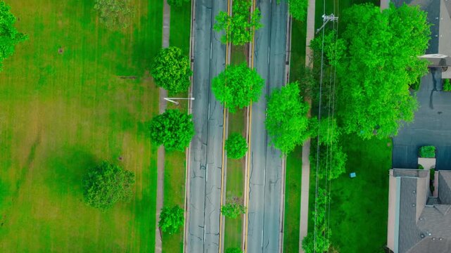 Addison, DuPage County thoroughfare with mature parkway trees. B roll for development, road repair and budget stories.