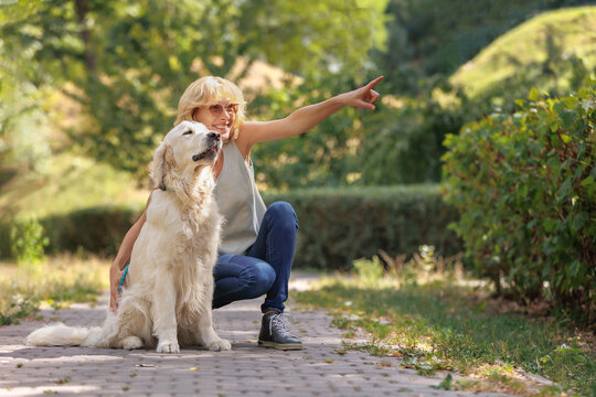 Woman with Golden Retriever, Pointing and Looking Together in City Park