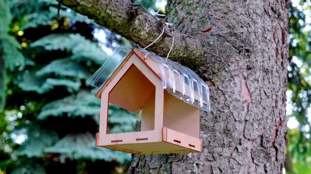 DIY wooden bird feeder hanging on a pine tree in a park
