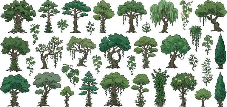 Set of fantasy green jungle trees and creeping vine plant vectors isolated on white background