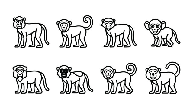 Monkey Collection: A set of eight simple black and white line drawings of various monkey species, showcasing different facial features and body shapes in a flat design style.