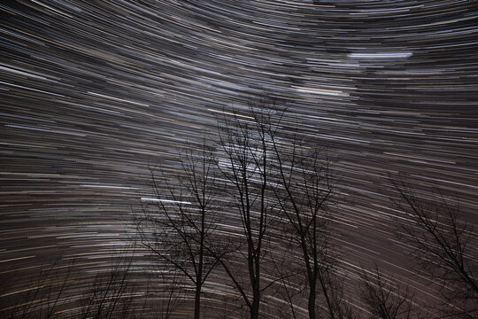 Long exposure image captures curved star trails in dark night sky, with bare tree silhouettes in foreground.