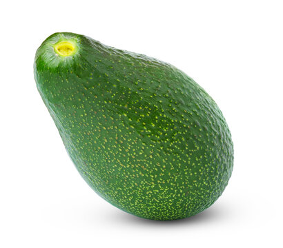 Fresh whole avocado isolated on white. Standing avocado with clipping path.