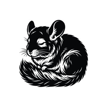 Cute fluffy chinchilla sleeping in a curled position black and white line art illustration
