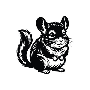 Cute little chinchilla illustration in a simple black and white ink drawing art style design
