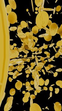 Looped 3D animation on a transparent background. Vertical format. Gold coins flying in various directions.
