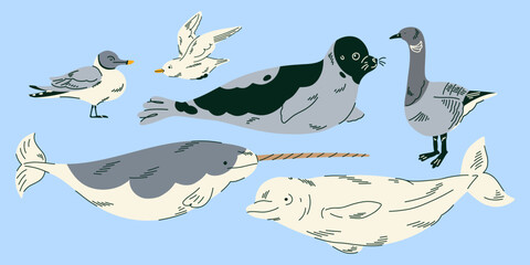 Arctic seabird and marine wildlife collection for educational materials, children books, nature posters, ocean themed decor, animal cards, classroom projects and polar habitat designs © Senaysky