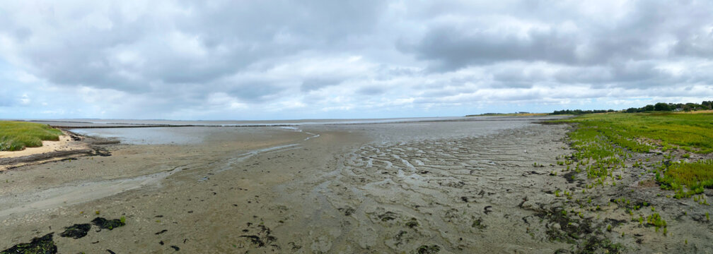 Aussicht auf das Wattenmeer bei Nebel, Insel Amrum, Panoramaaufnahme 