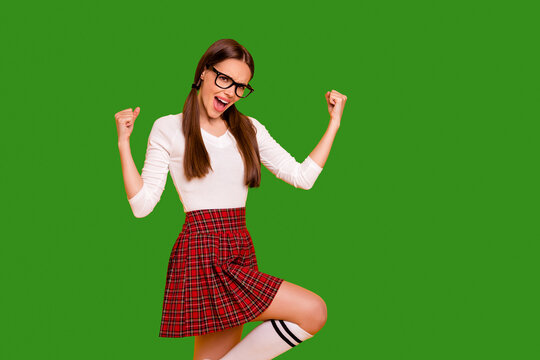 Portrait tails cool positive youth millennial raise fists scream yeah excellent test result course academy delighted content modern plaid checked eyeweear eyeglasses isolated yellow background