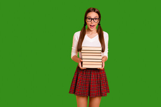 Portrait cute astonished  youth hold hand scream shout omg wow stylish trendy beautiful wonder knowledge news impressed eyewear eyeglasses red skirt checked plaid beautiful isolated vivid background