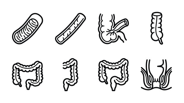 Digestive System Anatomy Icons