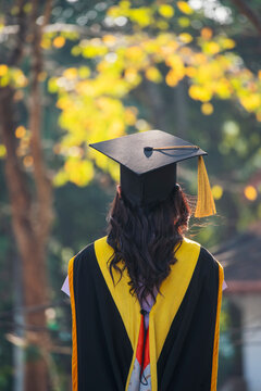 Vertical Young woman backside graduated university. Women graduate student academy wear black gown cap. Vertical alignment Back side female college graduate bachelor degree standing green park