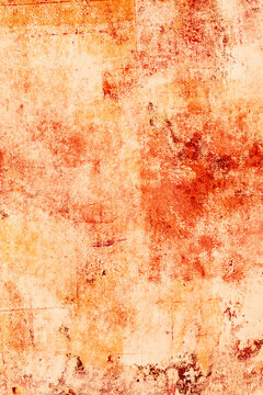 Burnt orange backdrop design