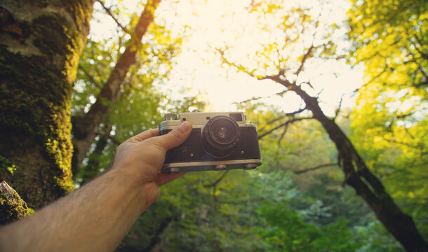 Old retro camera in the forest background.